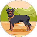 gabrielzj marina profile picture