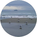 Lorenzo Trabucco profile picture