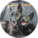 Valentina Romani profile picture