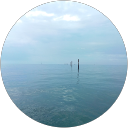 Nico Agnolin profile picture