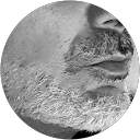Massimo profile picture