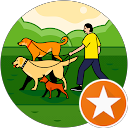 Domenico Ariano profile picture