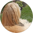 FrancoForte55 profile picture