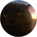 erik serafini profile picture