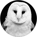 Evandro Panico profile picture